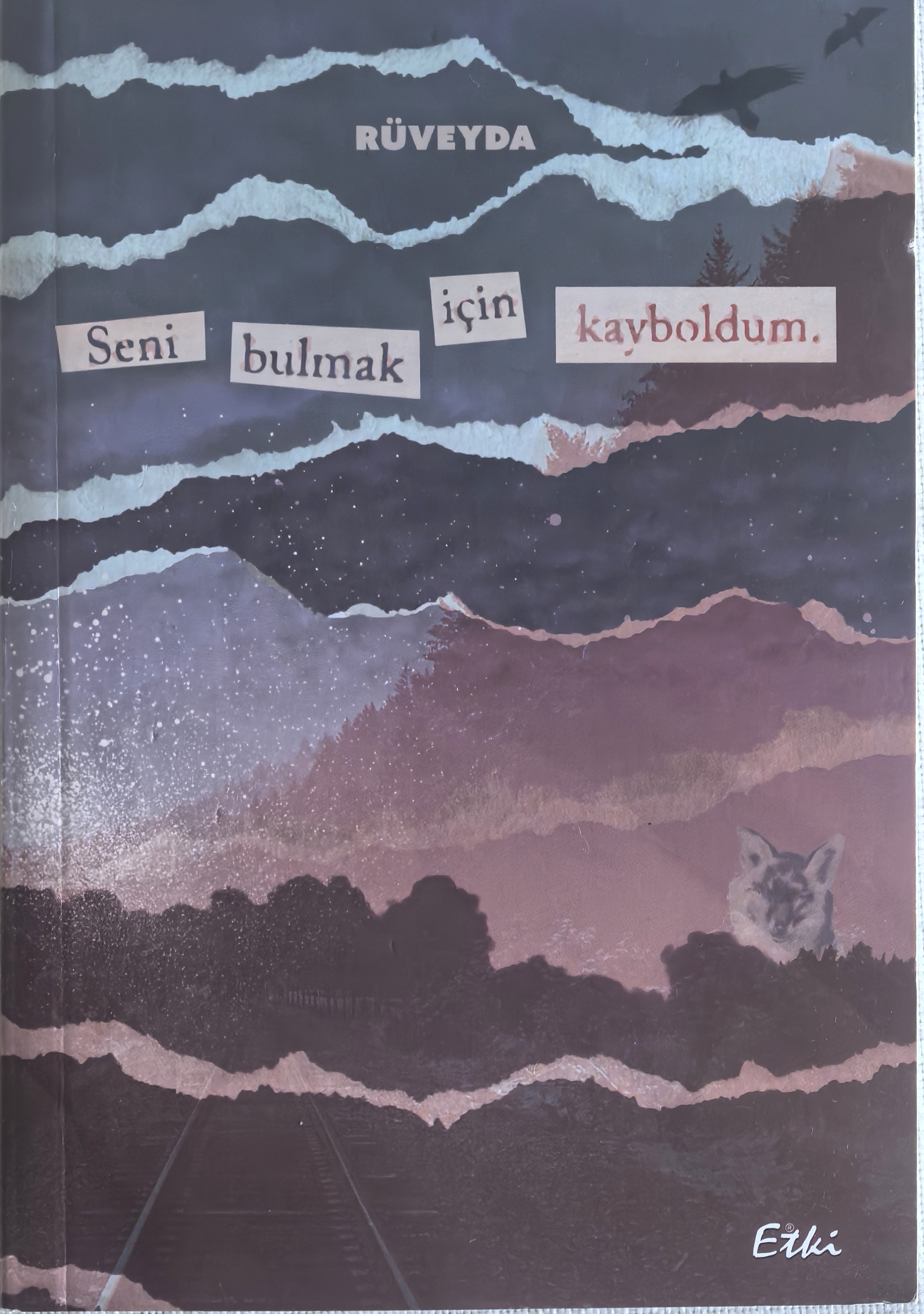 SENİ BULMAK İÇİN KAYBOLDUM
