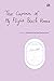 The Captain of My Flight Back Home by Shahnaz Mariela Soehartono