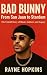 Bad Bunny: From San Juan to...