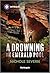 A Drowning in Emerald Pool: An Unexpected Pregnancy Mystery Romance (Red Rock Murders Book 4)