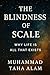 The Blindness of Scale: Why...