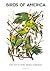 Birds of America - Volume 1...