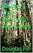 Calgary Tree Climbing Mini-Guide by Steve De Maio