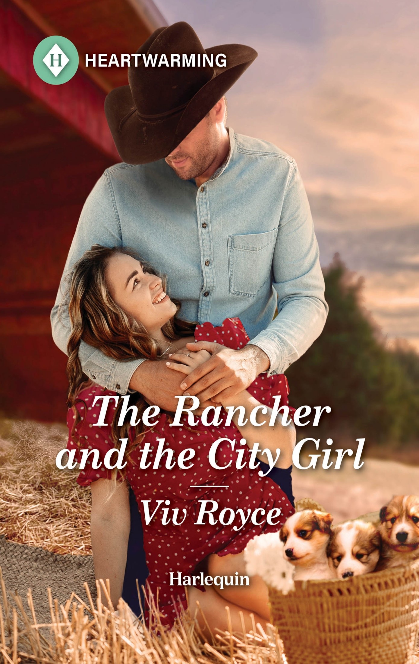 The Rancher and the City Girl (Heroes of the Rockies, 4)