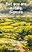 But you are in Italy, Signora by Catherine  Berry