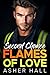 Second Chance Flames of Love by Asher Hall