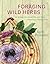 Foraging Wild Herbs: 30 Healing Plants of the Coastal Carolinas