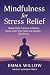 Mindfulness for Stress Reli...