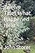 Twelve Tales What Happened ...