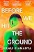 Before We Hit the Ground: The powerful new literary novel for fans of OPEN WATER and EVENINGS AND WEEKENDS