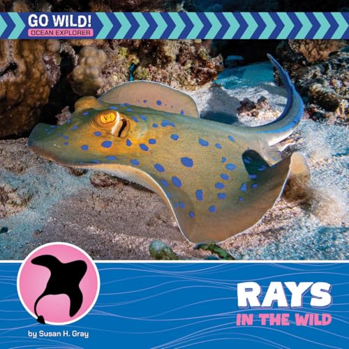 Rays in the Wild (21st Century Beginning Library: Go Wild! Ocean Explorer)
