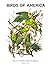 Birds of America - Volume 1...