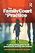 The Family Court in Practice by Richard Harper