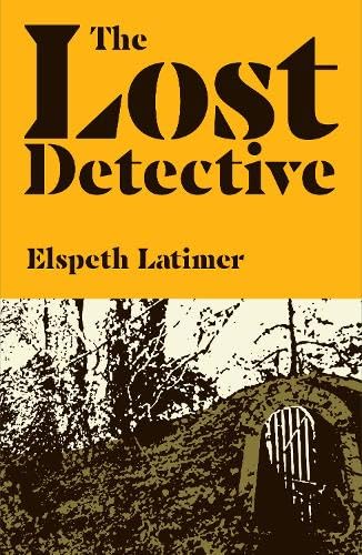 The Lost Detective (Paperback)