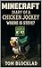 MINECRAFT: Diary of a Chick...