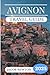Avignon Travel Guide 2025 by Jacob Newton