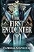 The First Encounter by Caterina Novelliere