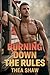 Burning Down The Rules (Roc...