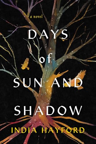 Days of Sun and Shadow (Paperback)