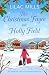 The Christmas Fayre on Holly Field: An inspiring and cosy festive romance (Foxmore Village Book 2)