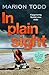 In Plain Sight: A page-turn...