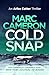Cold Snap (Arliss Cutter Thrillers Book 4)