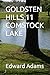 GOLDSTEN HILLS 11 COMSTOCK ...