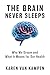 The Brain Never Sleeps by Karen Van Kampen