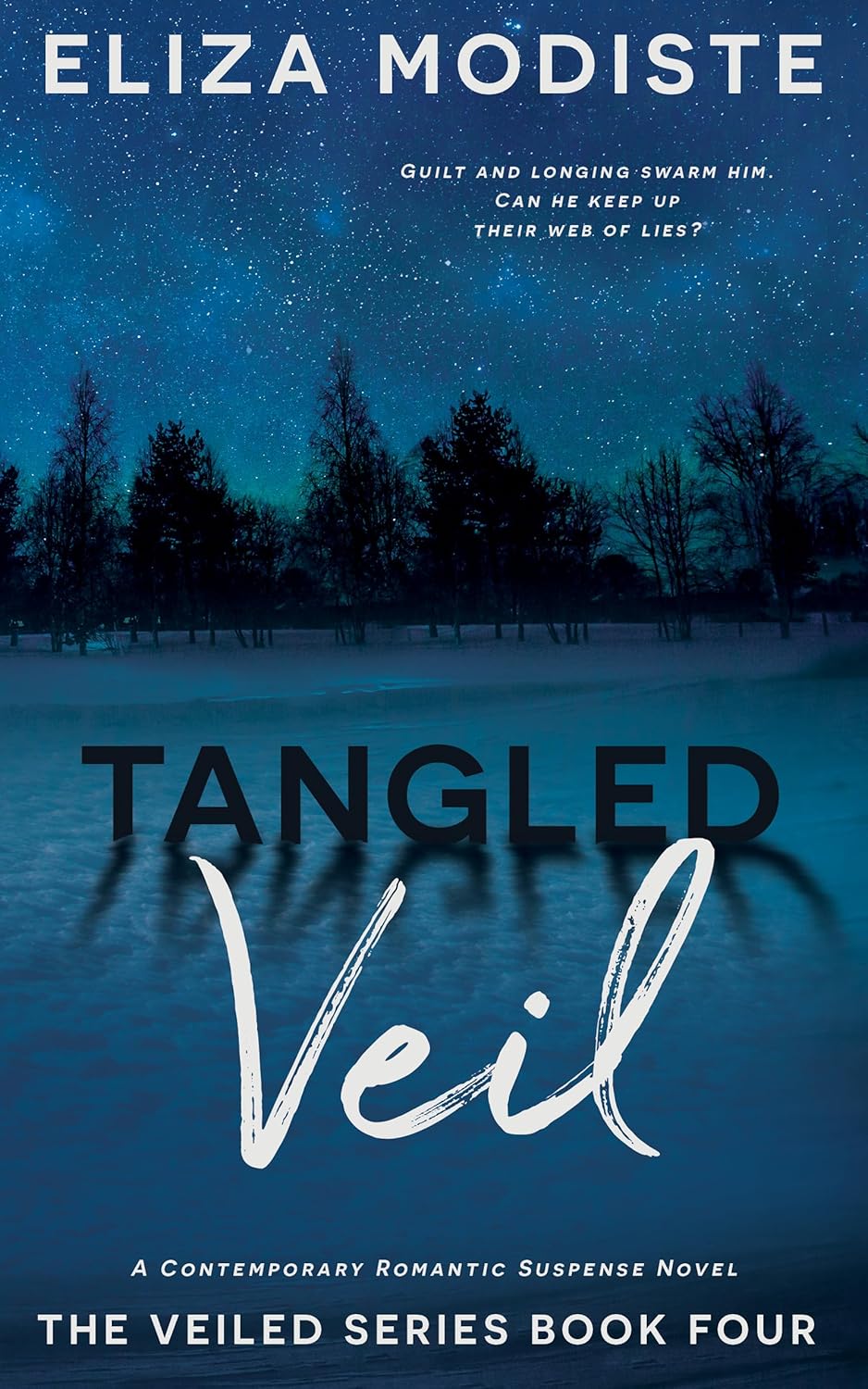 Tangled Veil: A Fake Dating Contemporary Romantic Suspense Novel (The Veiled Series Book 4)