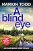 A Blind Eye: A twisty and g...
