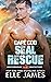 Cape Cod SEAL Rescue (Brotherhood Protectors #10)