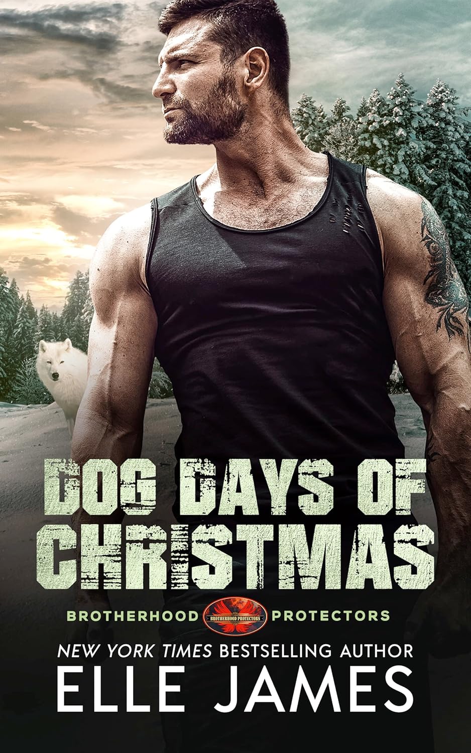 Dog Days of Christmas (Brotherhood Protectors, #16)