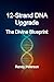 12-Strand DNA Upgrade: The ...