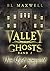 Vom Geist heimgesucht (Valley Ghosts #2)