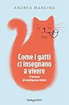 Come i gatti ci i...