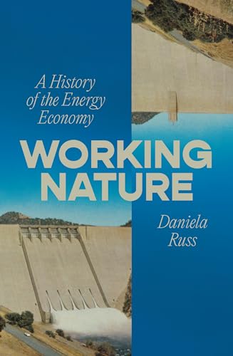 Working Nature: A History of the Energy Economy (Paperback)
