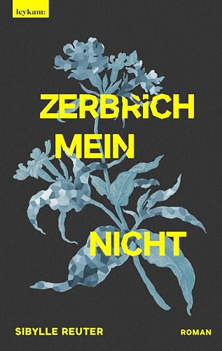 Zerbrichmeinnicht: Roman (German Edition)