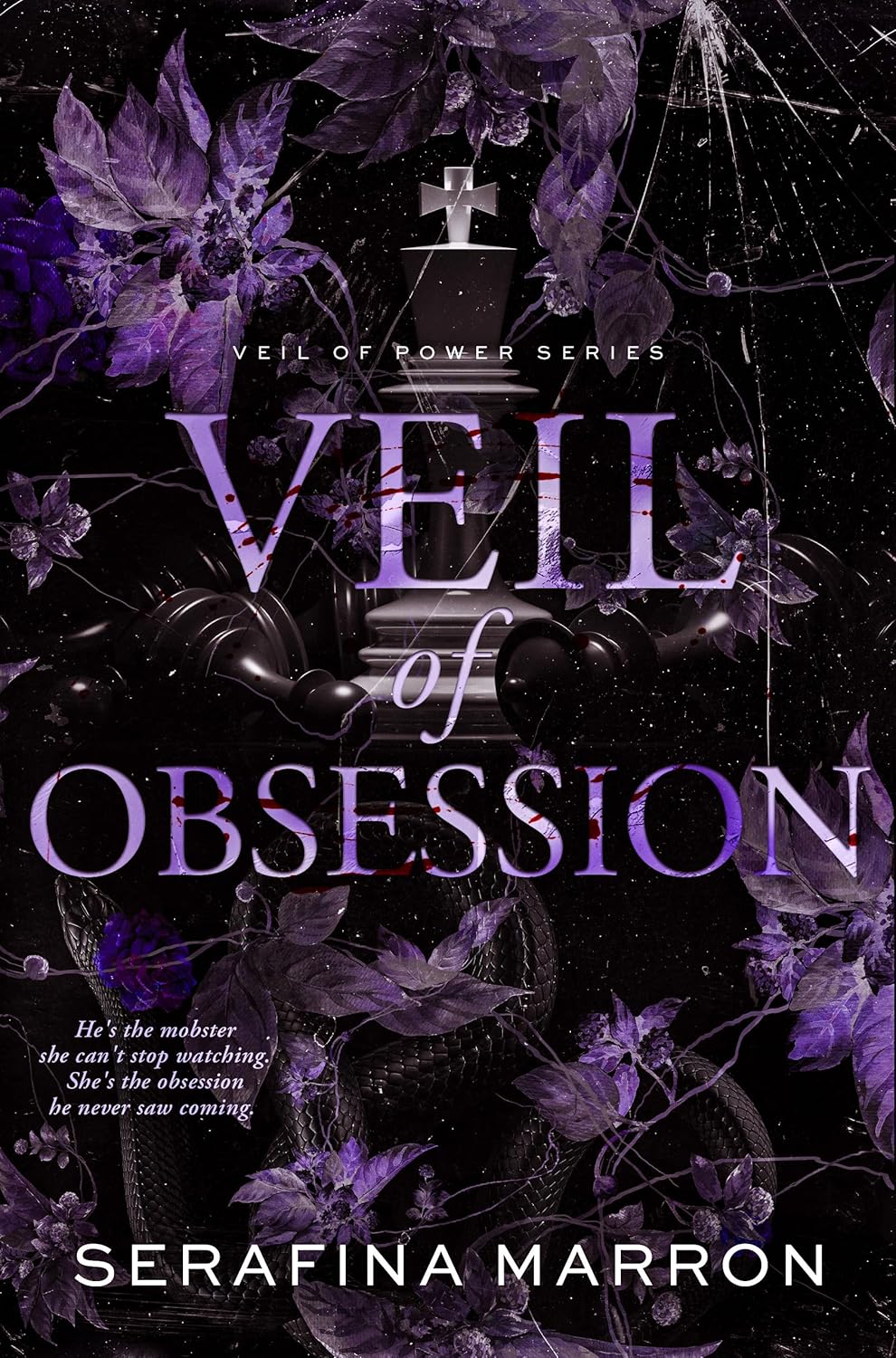 Veil of Obsession (Veil of Power #3)