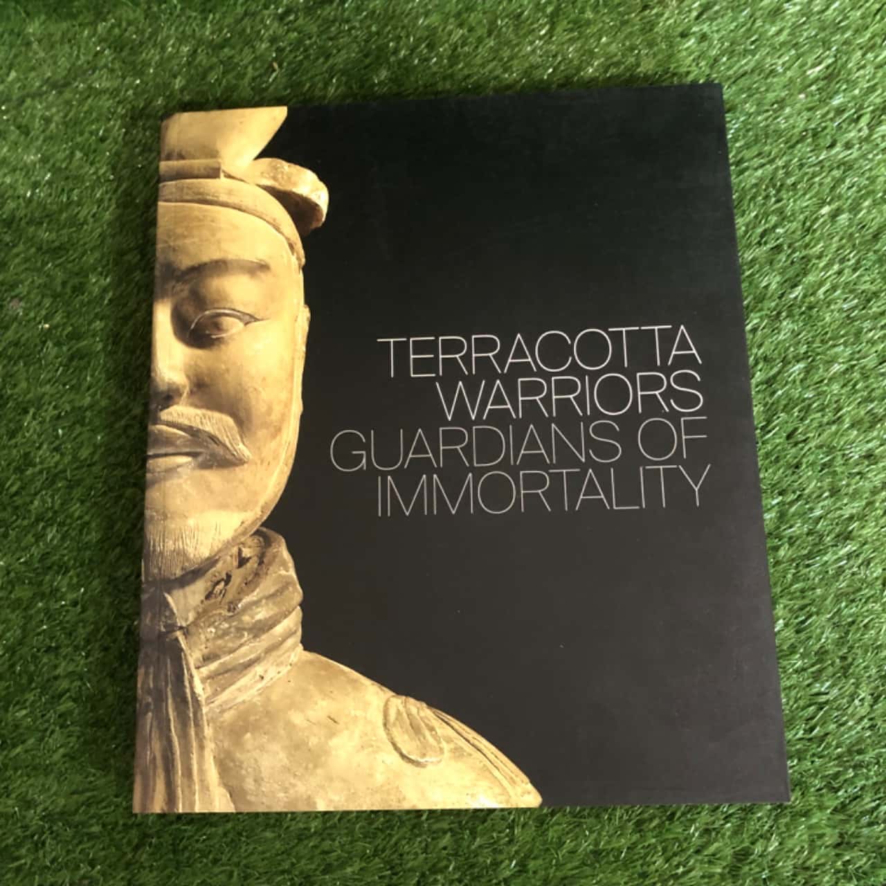 Terracotta Warriors: Guardians of Immortality (Paperback)