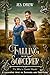 Falling for the Sorcerer : A Villainous Rapunzel and Swan Lake Second Chance Romance