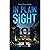 In Plain Sight
