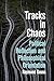 Tracks in Chaos: Philosophical Orientation and Political Reflection
