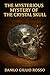 The Mysterious Mystery of the Crystal Skull by Danilo Giulio Rosso