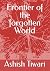 Frontier of the forgotten W...