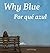 Why Blue/ Por Qué Azul (Xist Kids Bilingual Spanish English) by Josh Tuininga