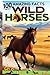 100 Amazing Facts About Wild Horses by Uncle Wale 100 Amazing Facts About Wild Horses by Uncle Wale