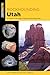Rockhounding Utah: A Guide ...