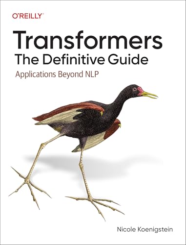Transformers: The Definitive Guide: Applications Beyond NLP (Paperback)