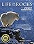Life on the Rocks by Bruce L. Smith