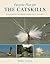 Favorite Flies for the Catskills: 50 Essential Patterns from Local Experts